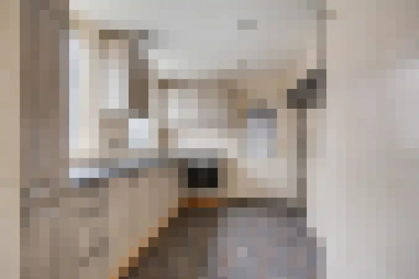 Van Nesstraat 5 Oss thumbnail 15