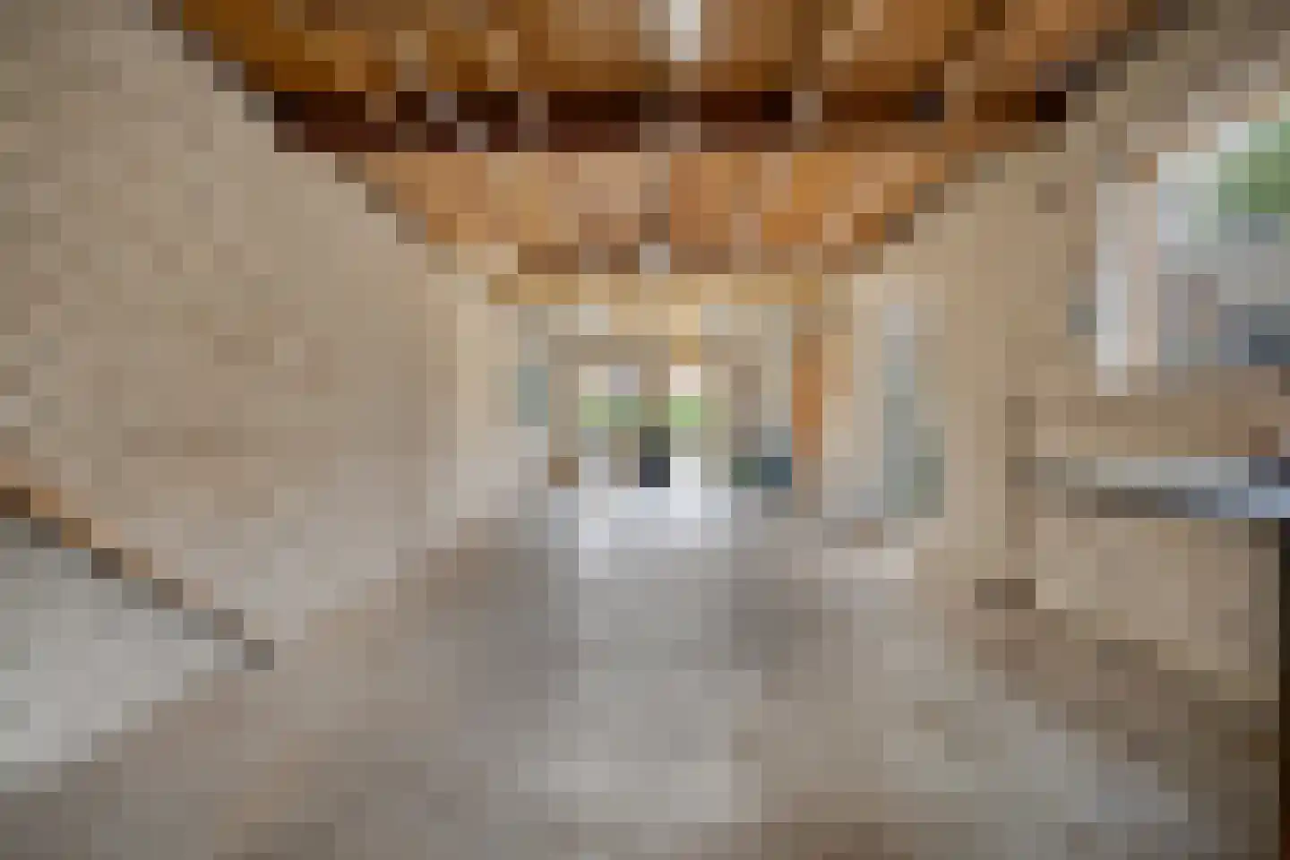 Van Nesstraat 5 Oss thumbnail 22