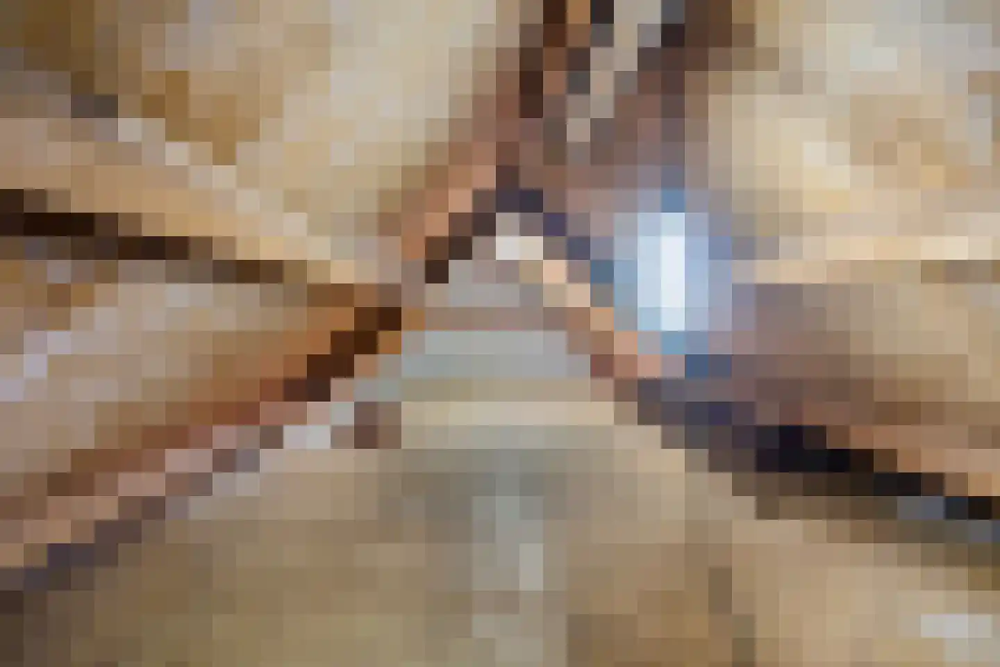 Van Nesstraat 5 Oss thumbnail 36