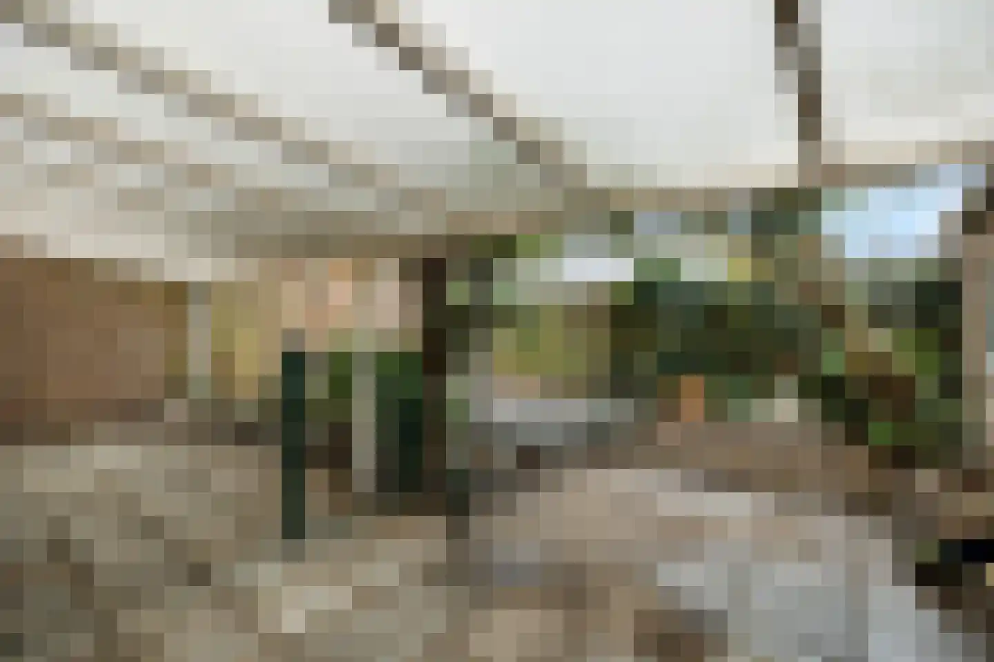 Van Nesstraat 5 Oss thumbnail 39