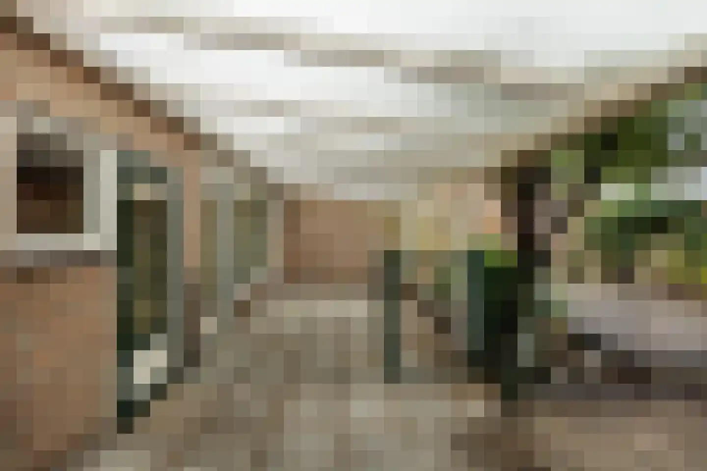 Van Nesstraat 5 Oss thumbnail 40