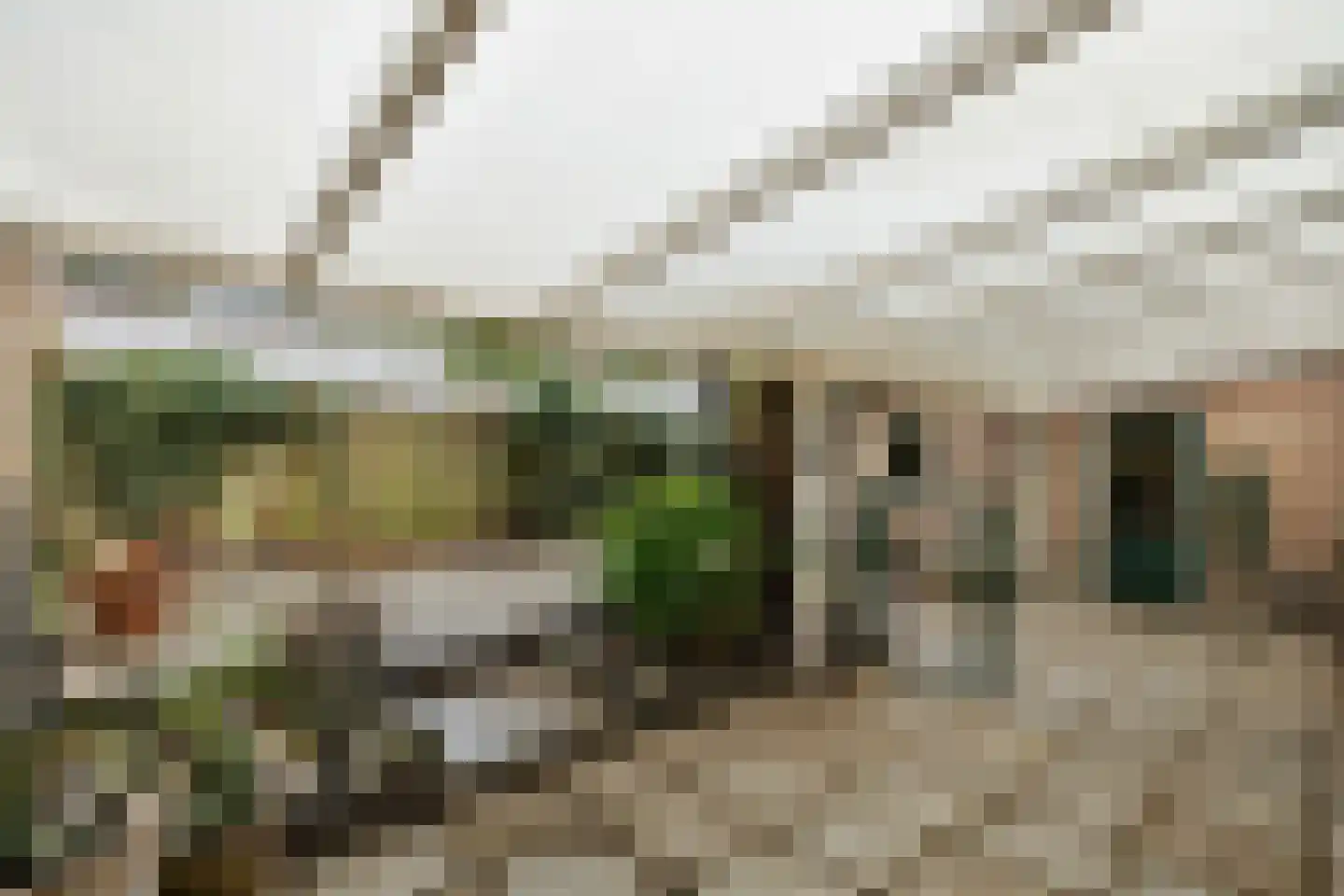Van Nesstraat 5 Oss thumbnail 41