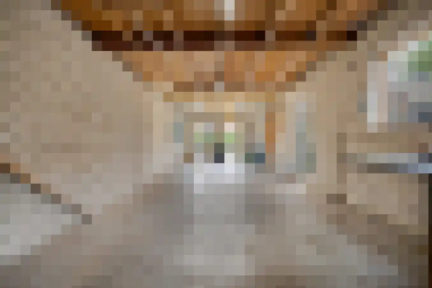 Van Nesstraat 5 Oss thumbnail 5
