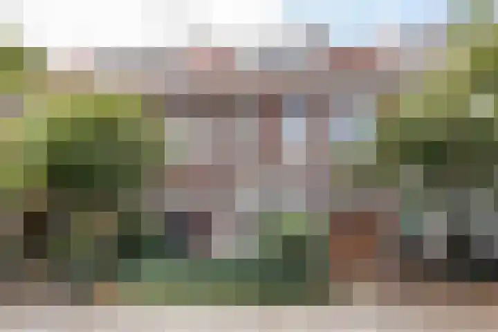 Van Nesstraat 79 Haarlem thumbnail 4