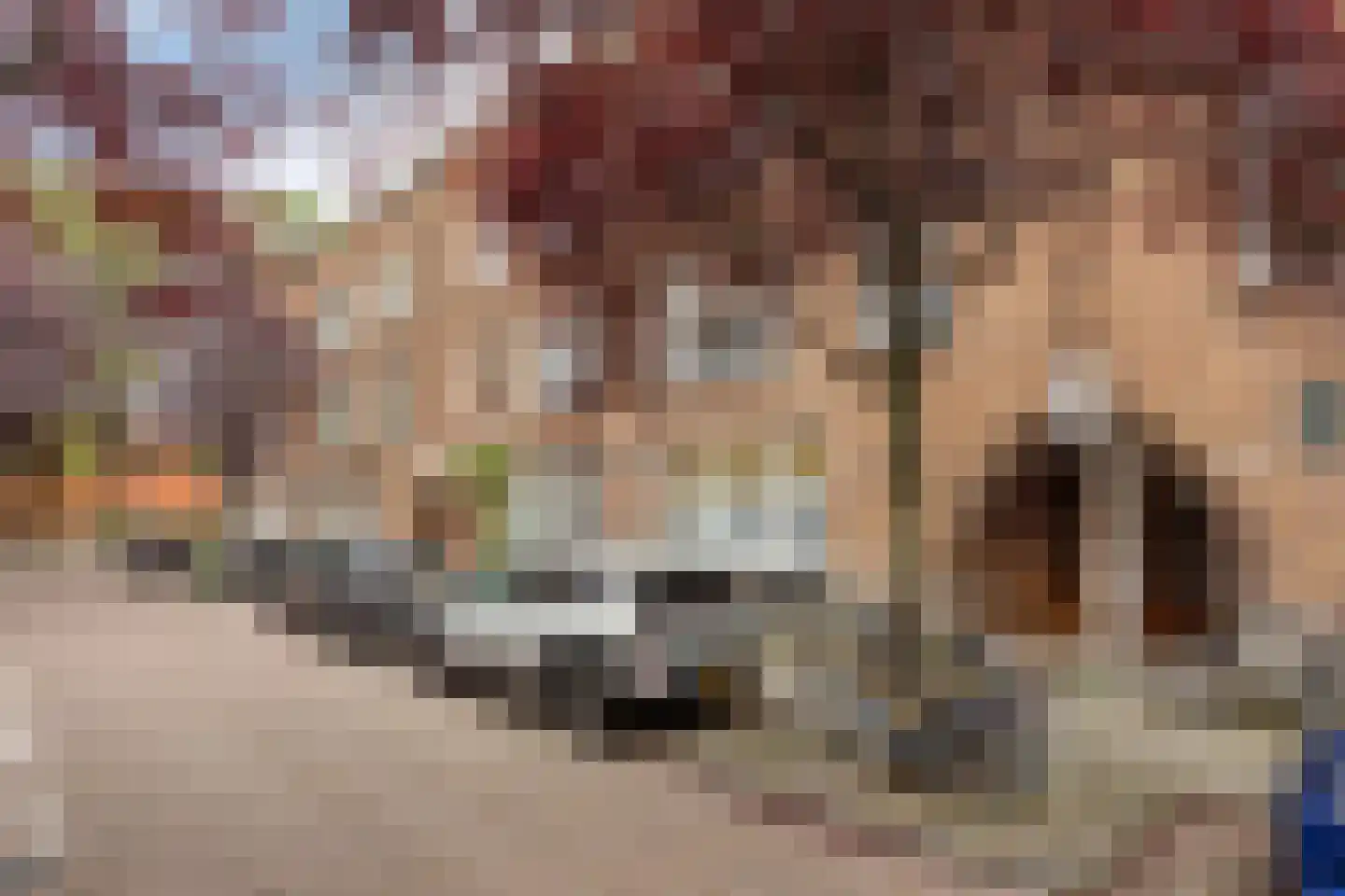 Van Nideckstraat 20 B 01 Rotterdam thumbnail 35
