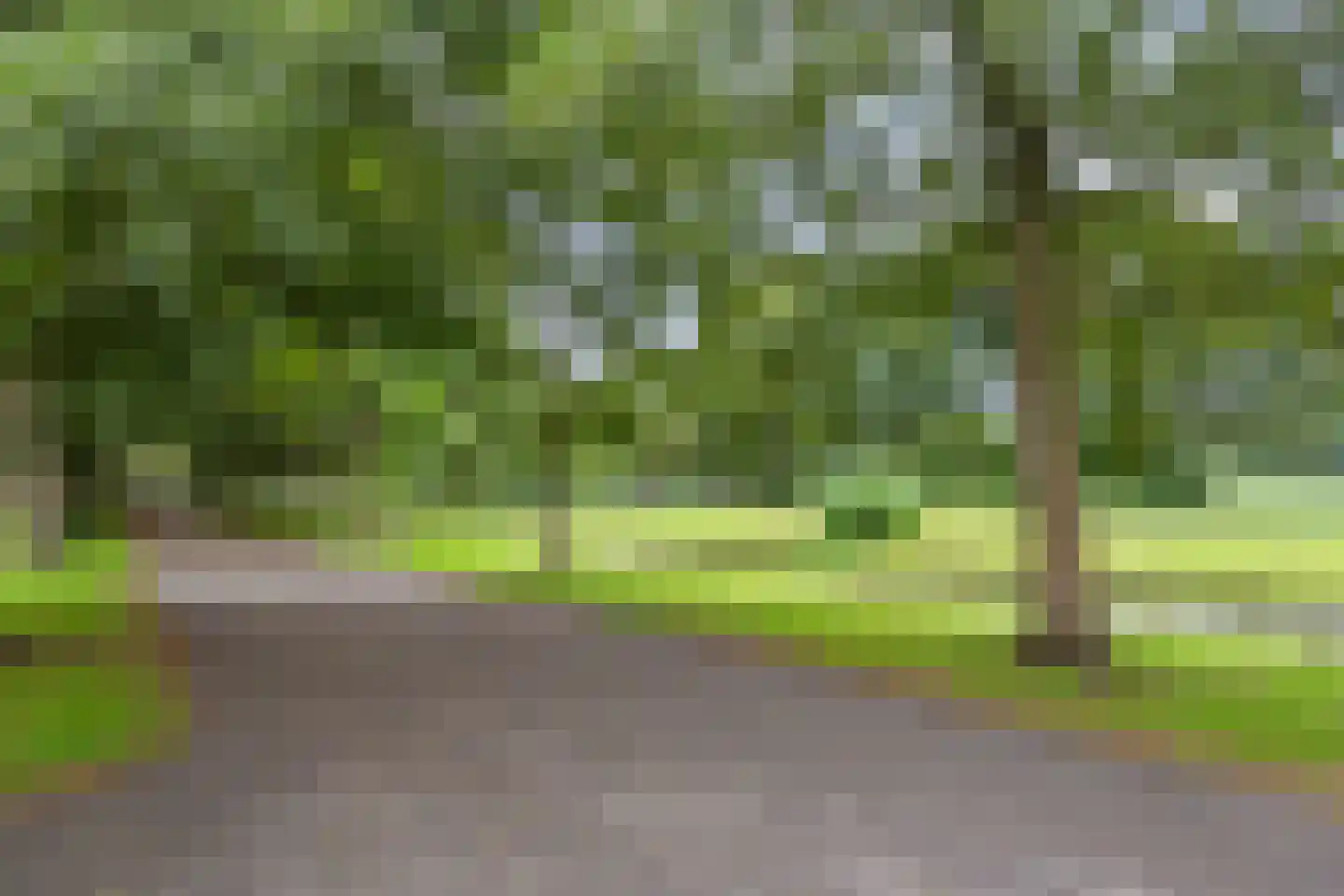 Van Nideckstraat 20 B 01 Rotterdam thumbnail 39