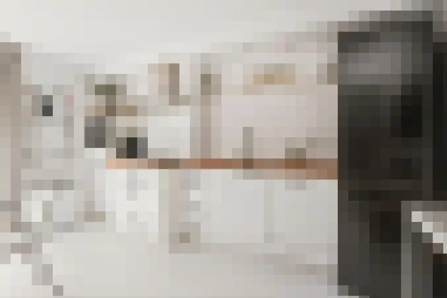 Van Nijendaalhof 1 Wijk bij Duurstede thumbnail 10