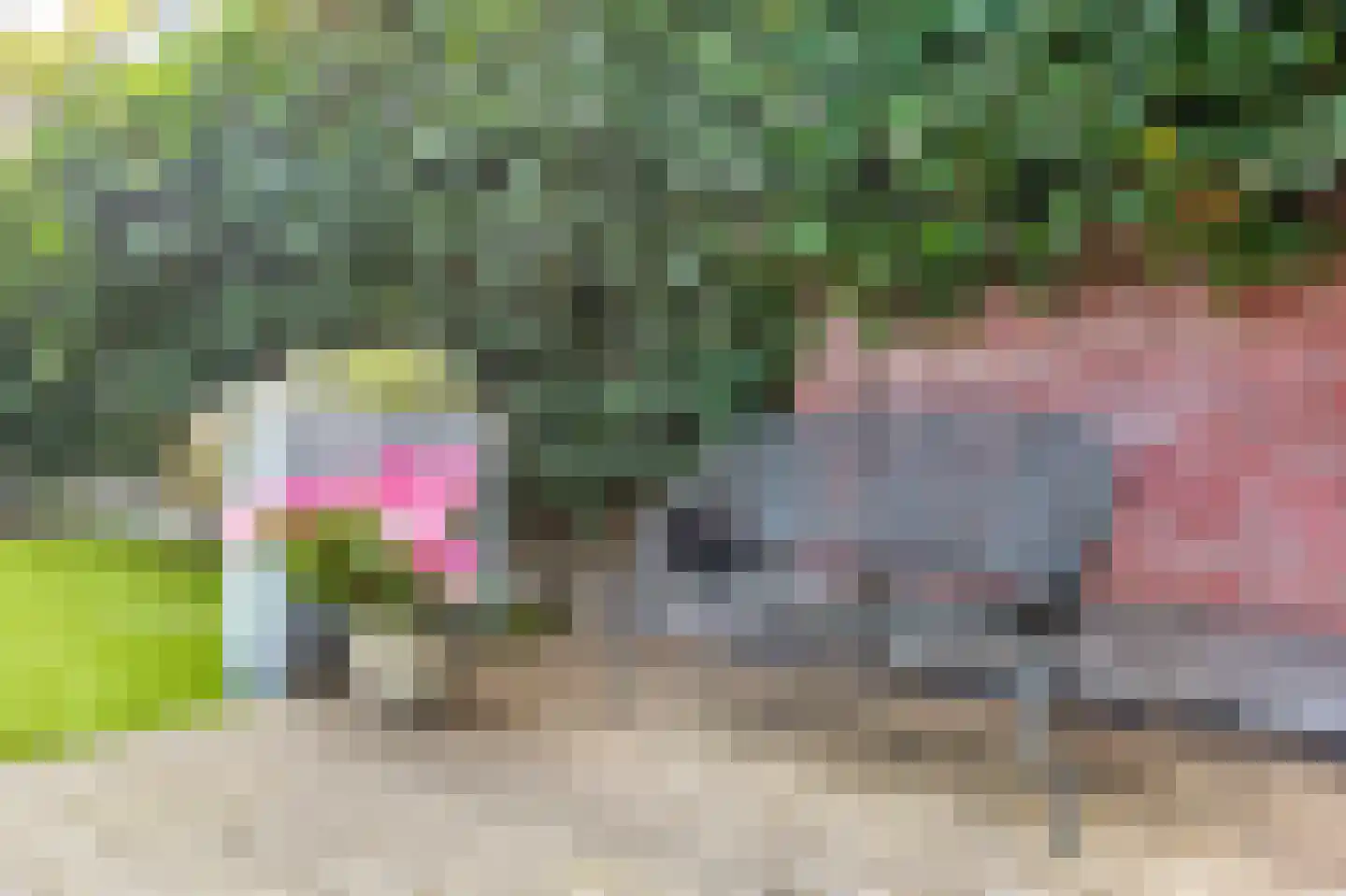 Van Nijendaalhof 1 Wijk bij Duurstede thumbnail 16
