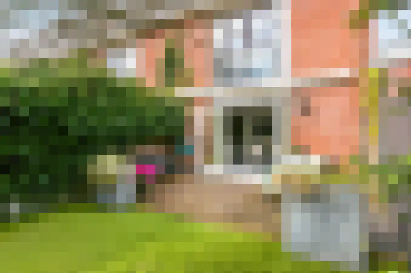 Van Nijendaalhof 1 Wijk bij Duurstede thumbnail 17