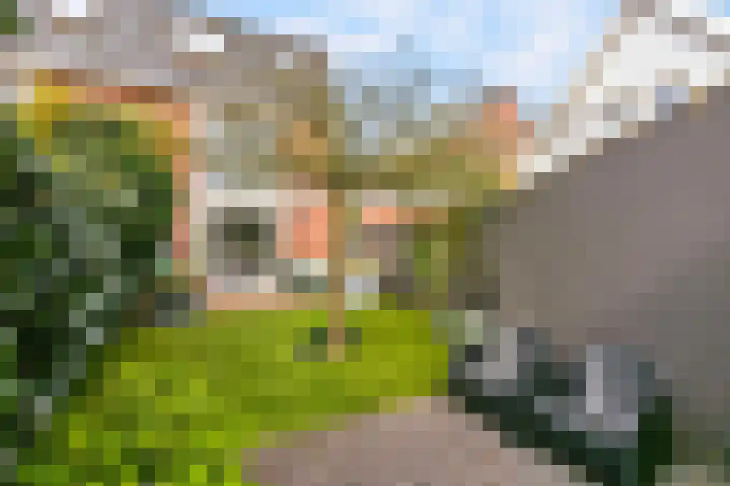 Van Nijendaalhof 1 Wijk bij Duurstede thumbnail 18