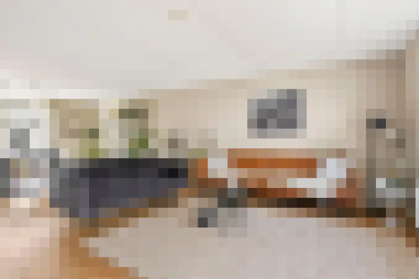 Van Nijendaalhof 1 Wijk bij Duurstede thumbnail 26