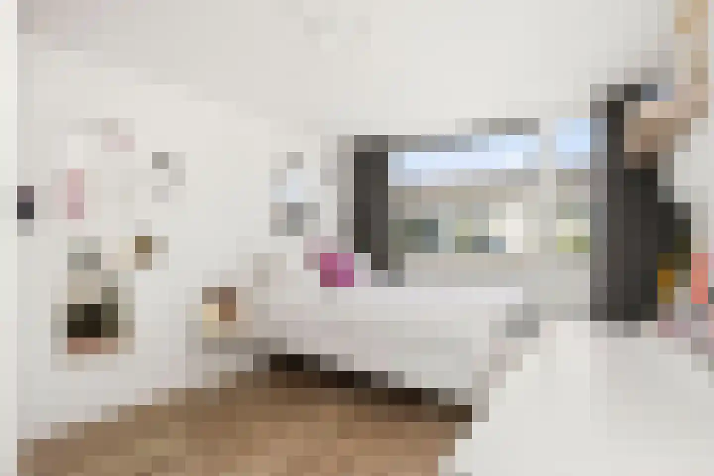 Van Nijendaalhof 1 Wijk bij Duurstede thumbnail 38