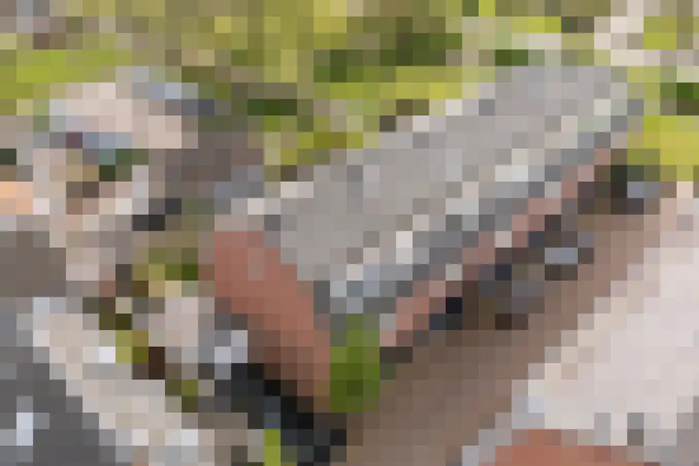 Van Nijendaalhof 1 Wijk bij Duurstede thumbnail 46
