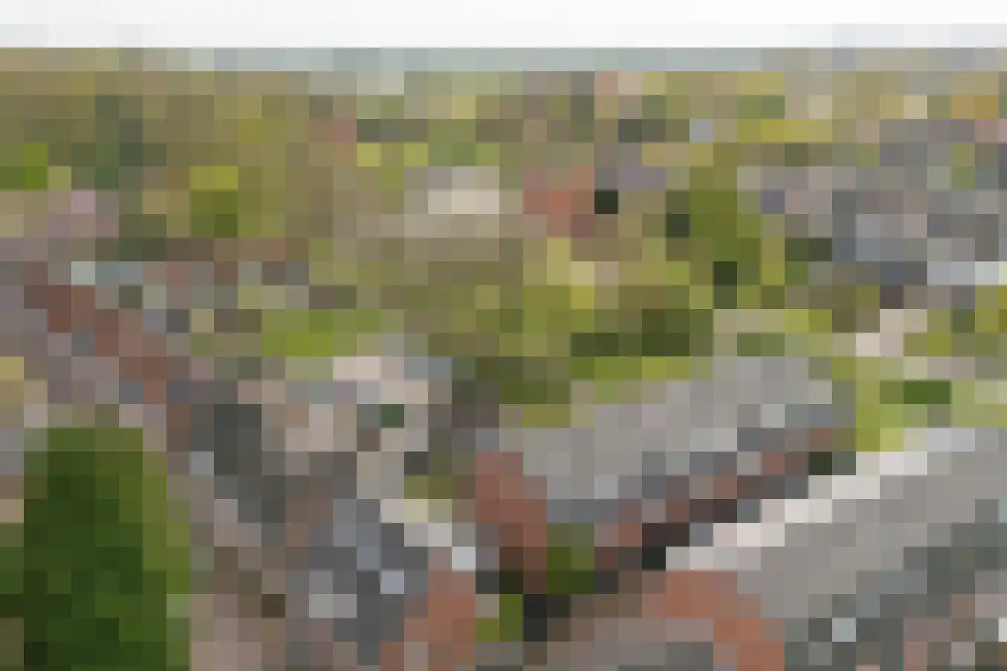 Van Nijendaalhof 1 Wijk bij Duurstede thumbnail 48
