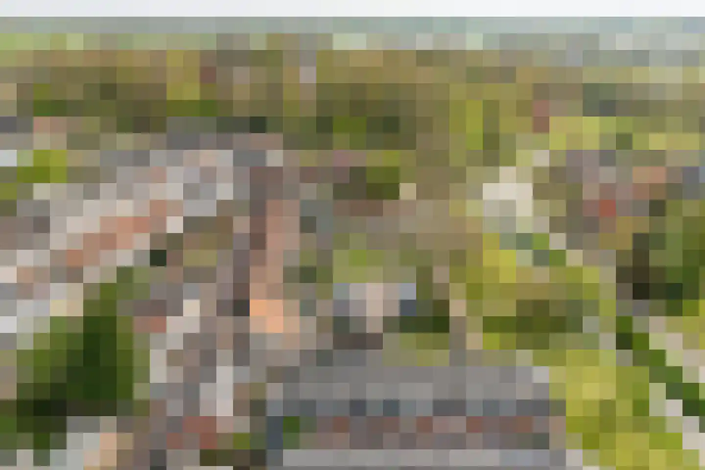 Van Nijendaalhof 1 Wijk bij Duurstede thumbnail 49