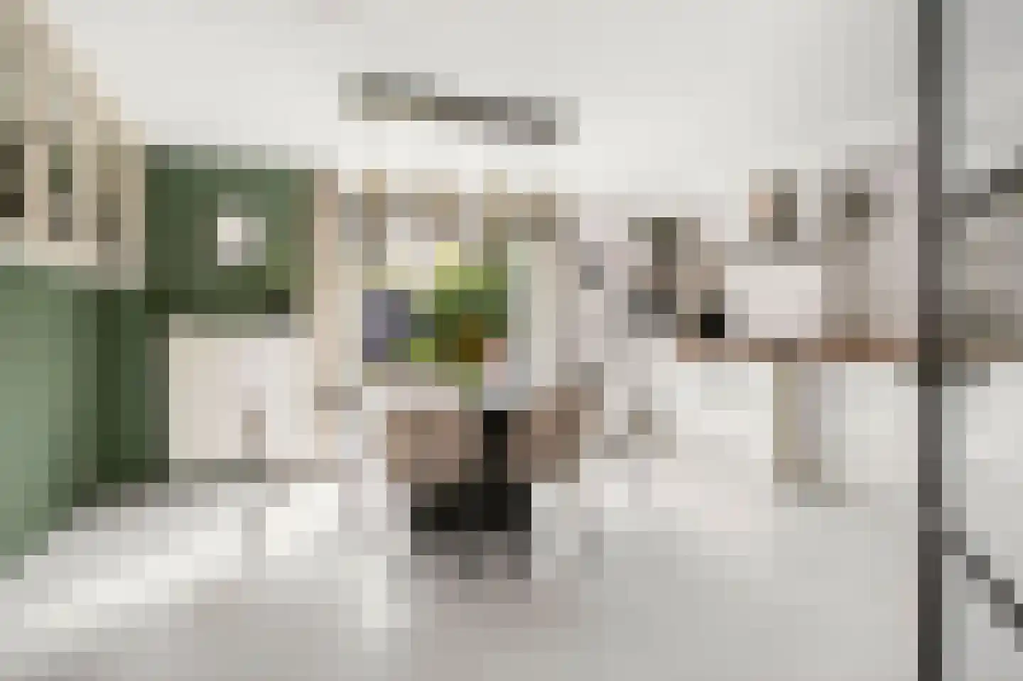 Van Nijendaalhof 1 Wijk bij Duurstede thumbnail 5