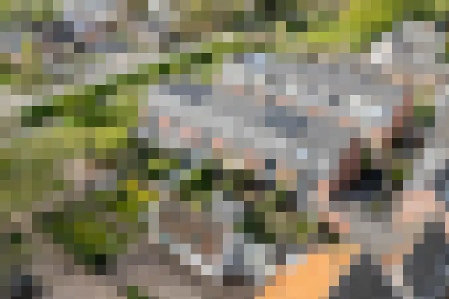Van Nijendaalhof 1 Wijk bij Duurstede thumbnail 51
