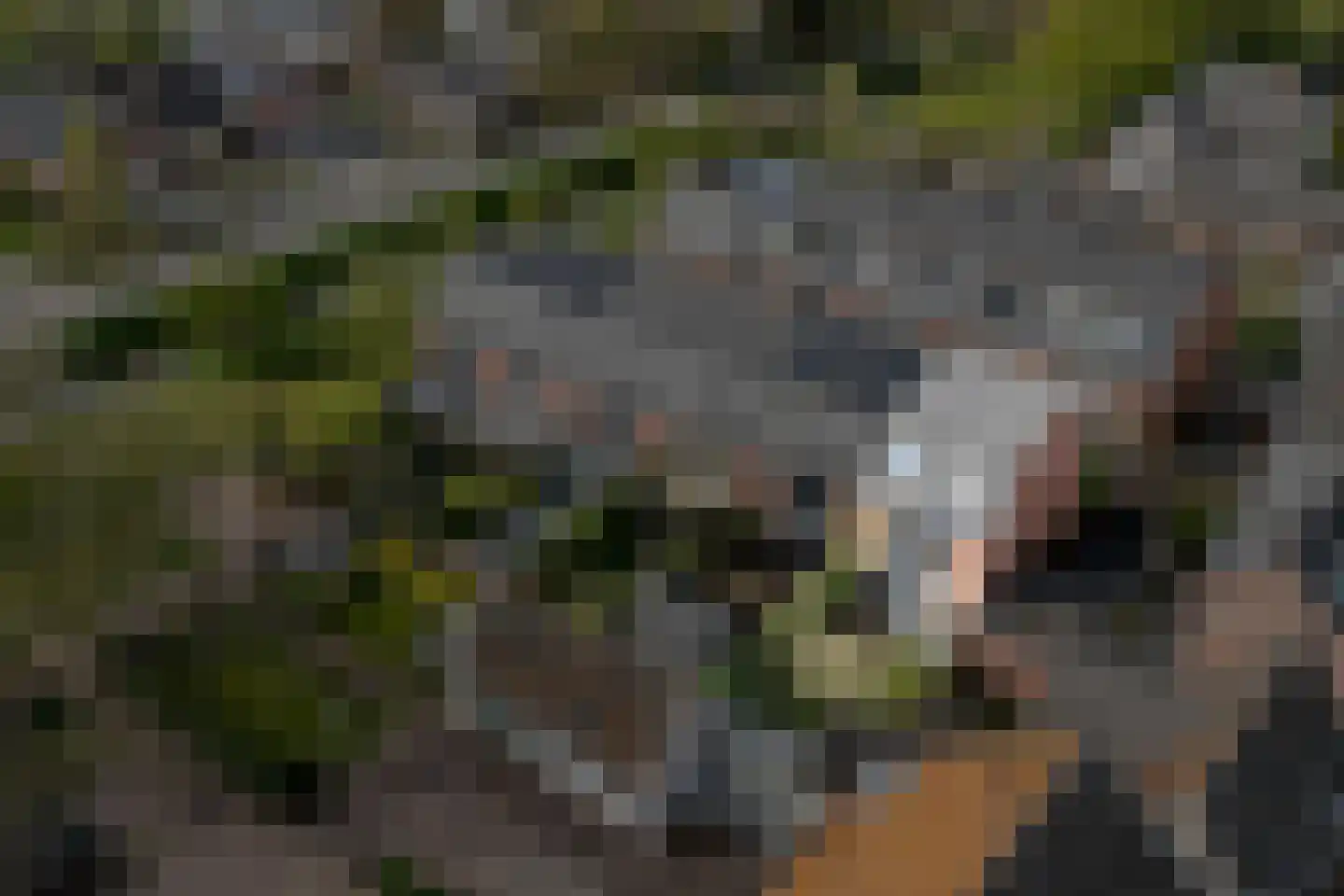 Van Nijendaalhof 1 Wijk bij Duurstede thumbnail 52