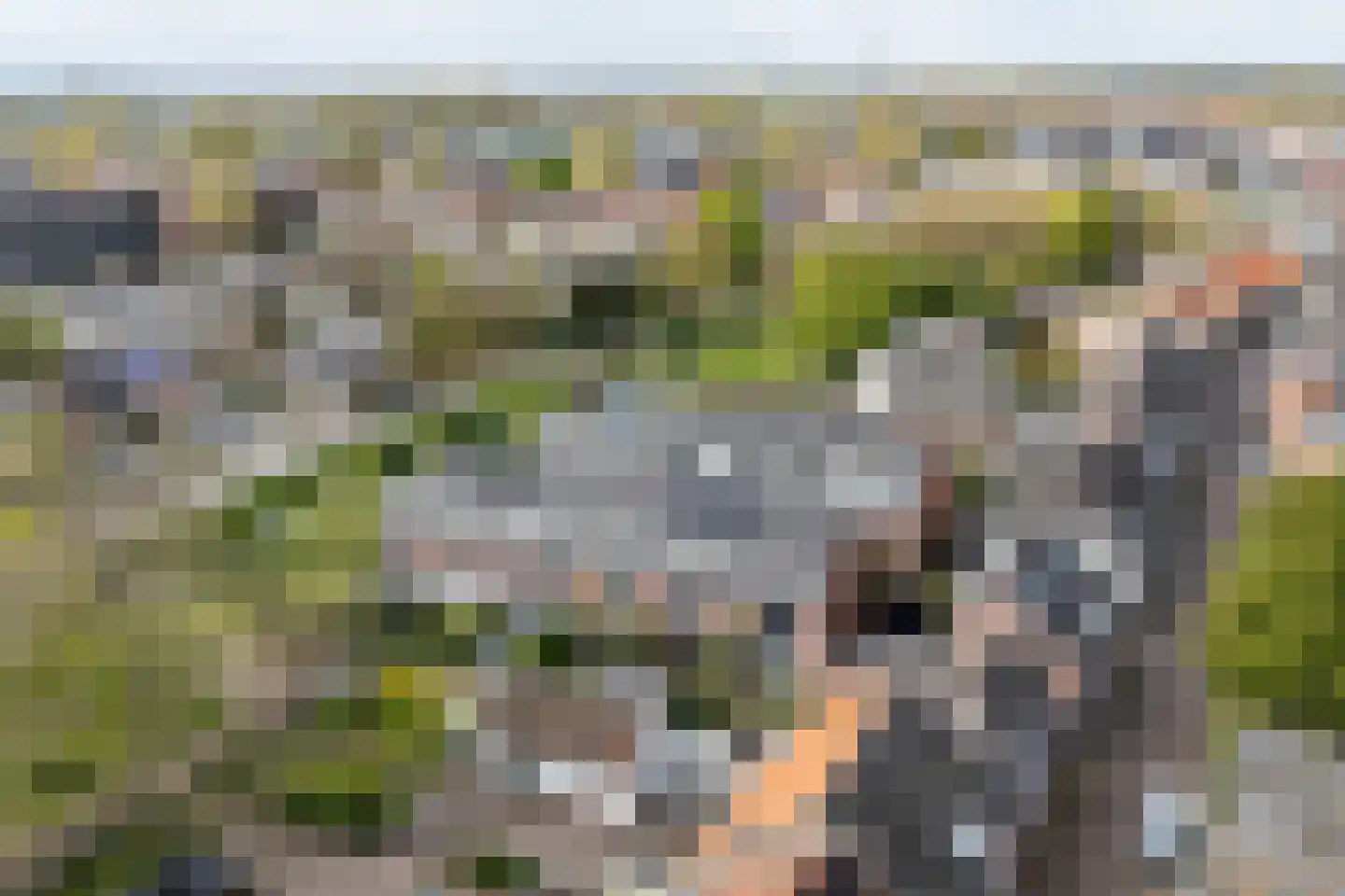 Van Nijendaalhof 1 Wijk bij Duurstede thumbnail 53