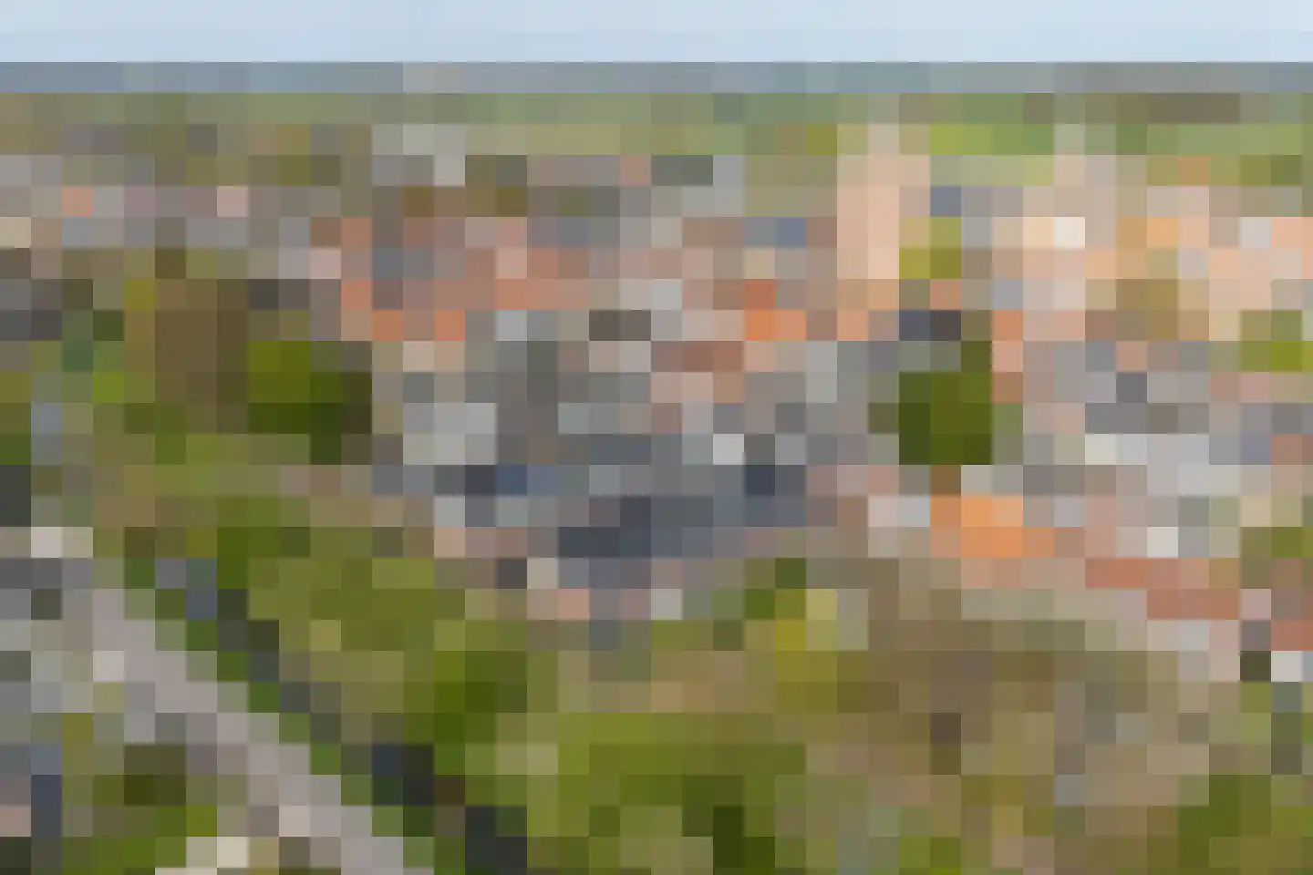 Van Nijendaalhof 1 Wijk bij Duurstede thumbnail 56