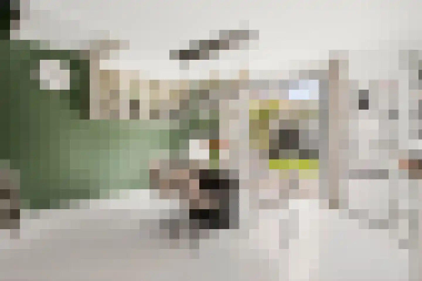 Van Nijendaalhof 1 Wijk bij Duurstede thumbnail 6