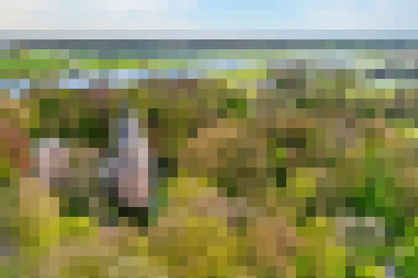 Van Nijendaalhof 1 Wijk bij Duurstede thumbnail 60