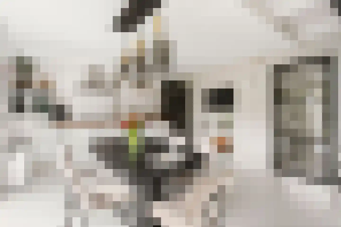 Van Nijendaalhof 1 Wijk bij Duurstede thumbnail 8