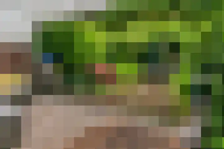 Van Nijendaalhof 9 Wijk bij Duurstede thumbnail 11
