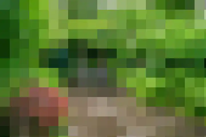 Van Nijendaalhof 9 Wijk bij Duurstede thumbnail 13