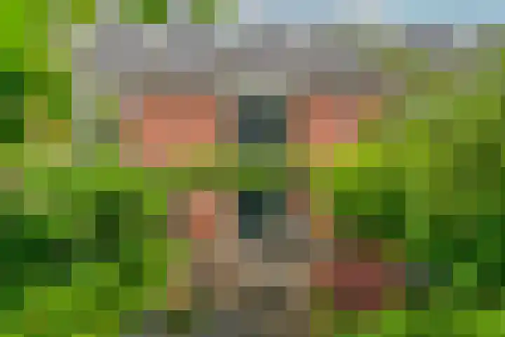 Van Nijendaalhof 9 Wijk bij Duurstede thumbnail 14