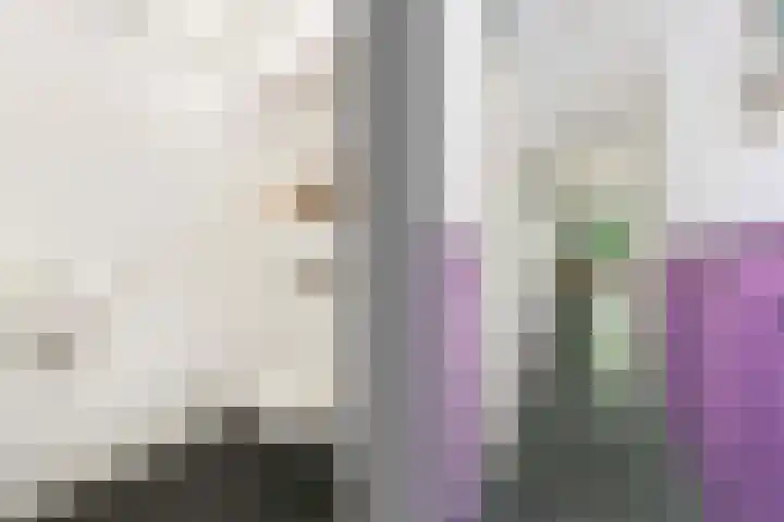 Van Nijendaalhof 9 Wijk bij Duurstede thumbnail 15