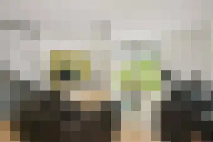 Van Nijendaalhof 9 Wijk bij Duurstede thumbnail 18