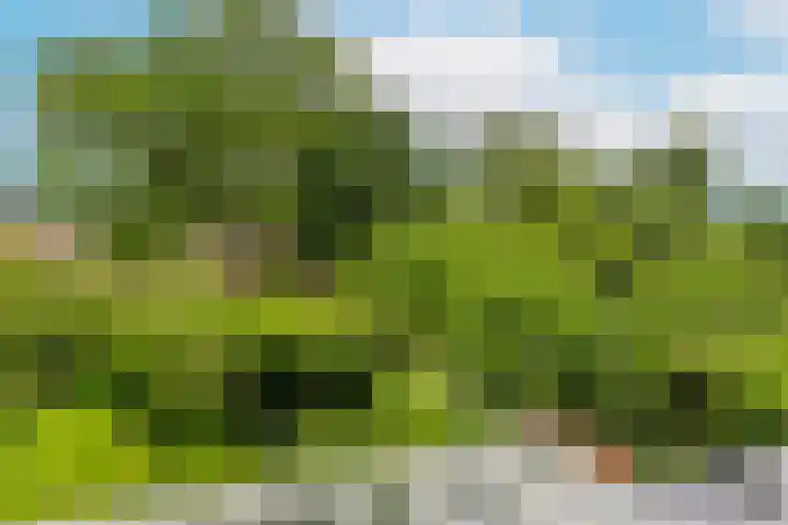 Van Nijendaalhof 9 Wijk bij Duurstede thumbnail 19