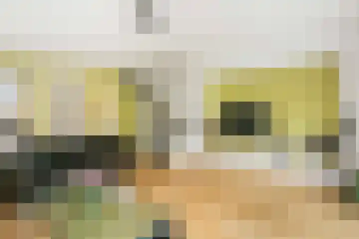 Van Nijendaalhof 9 Wijk bij Duurstede thumbnail 20