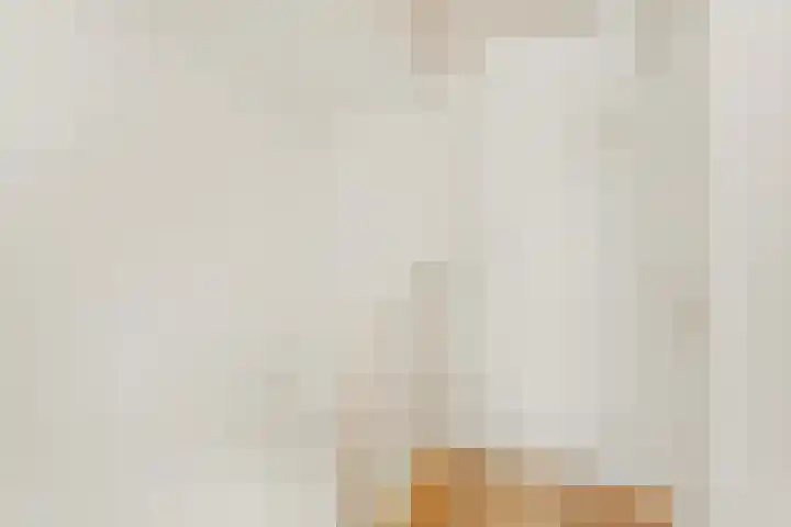 Van Nijendaalhof 9 Wijk bij Duurstede thumbnail 23