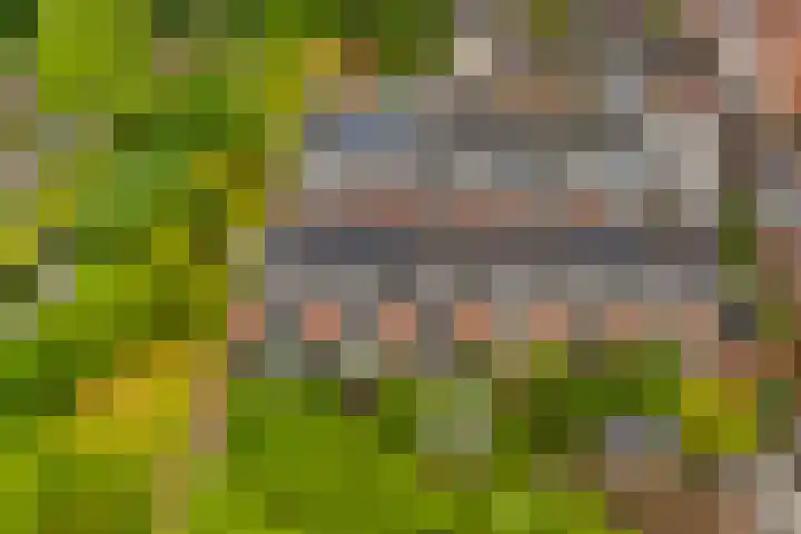 Van Nijendaalhof 9 Wijk bij Duurstede thumbnail 32