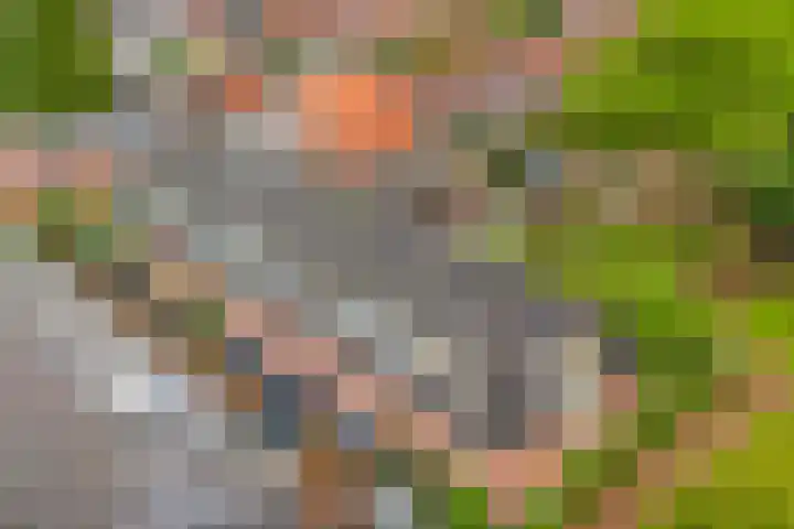 Van Nijendaalhof 9 Wijk bij Duurstede thumbnail 34