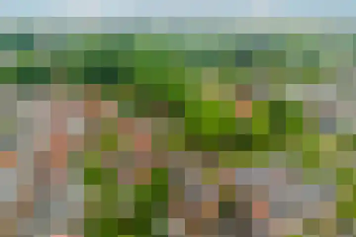 Van Nijendaalhof 9 Wijk bij Duurstede thumbnail 35
