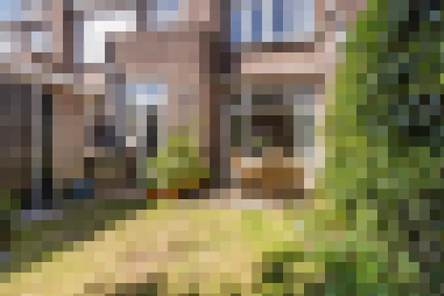 Van Nijenrodestraat 19 Den Haag thumbnail 22