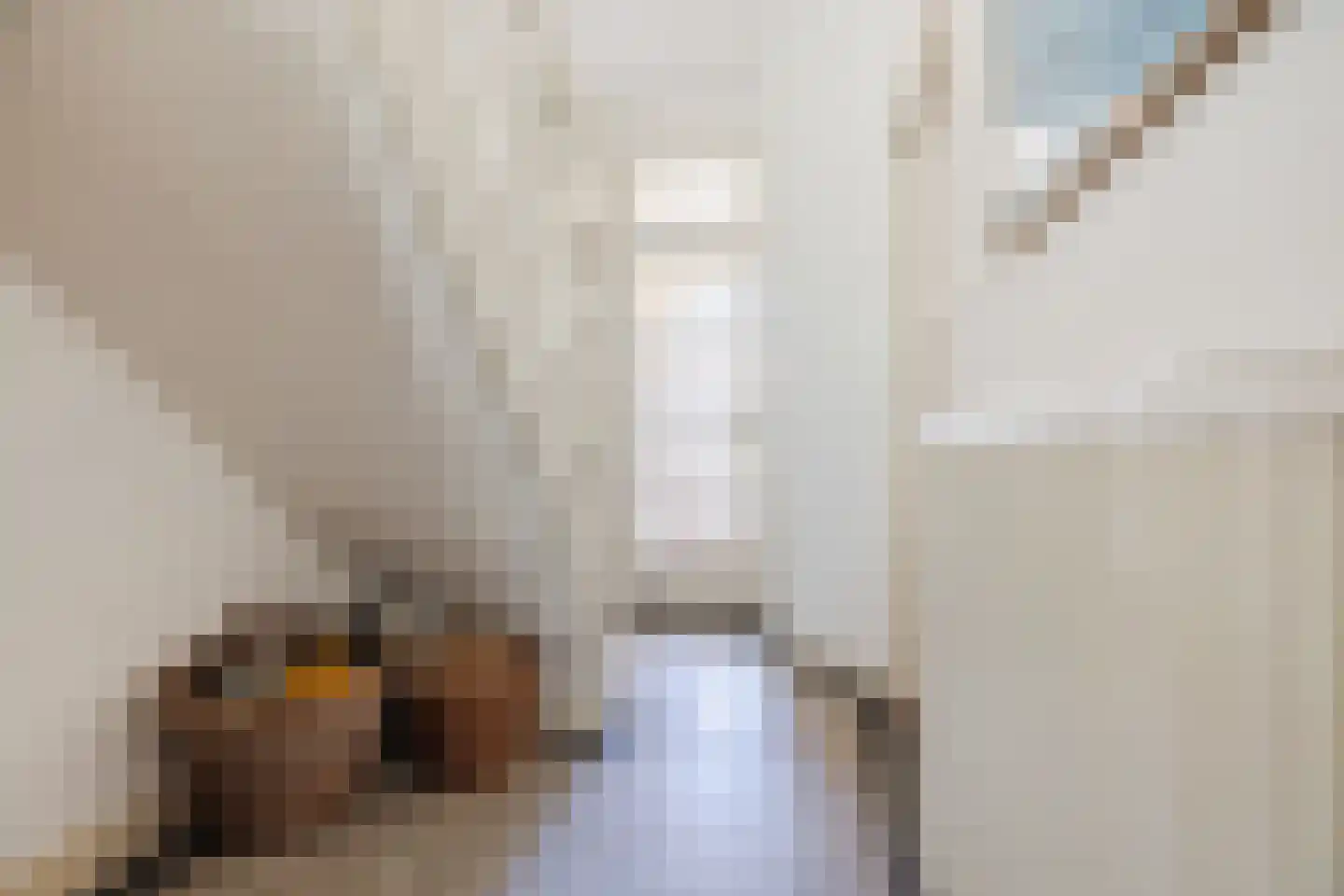 Van Nijenrodestraat 19 Den Haag thumbnail 7