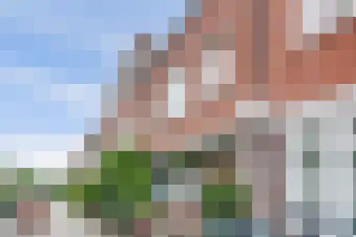 Van Nijenrodestraat 31 Den Haag thumbnail 6