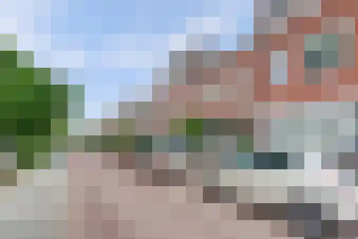 Van Nijenrodestraat 31 Den Haag thumbnail 7
