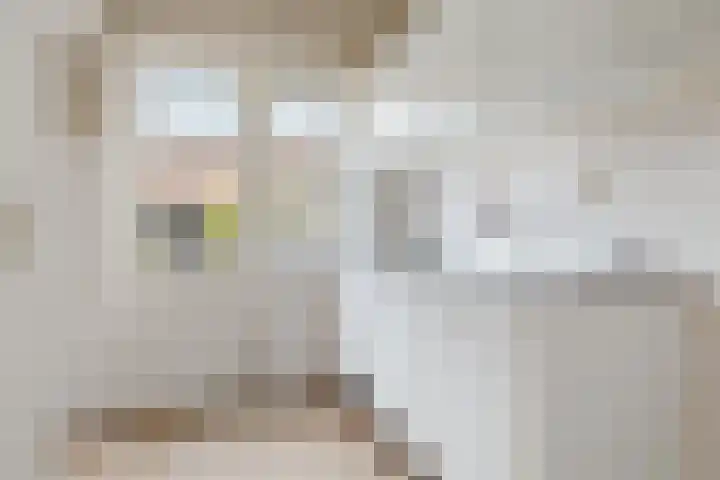 Van Nijenrodestraat 33 Hilversum thumbnail 5