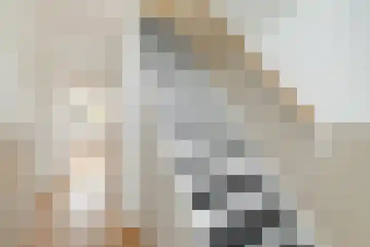 Van Nijenrodestraat 33 Hilversum thumbnail 9