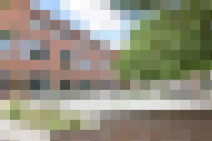 Van Nijenrodestraat 49 Den Haag thumbnail 34