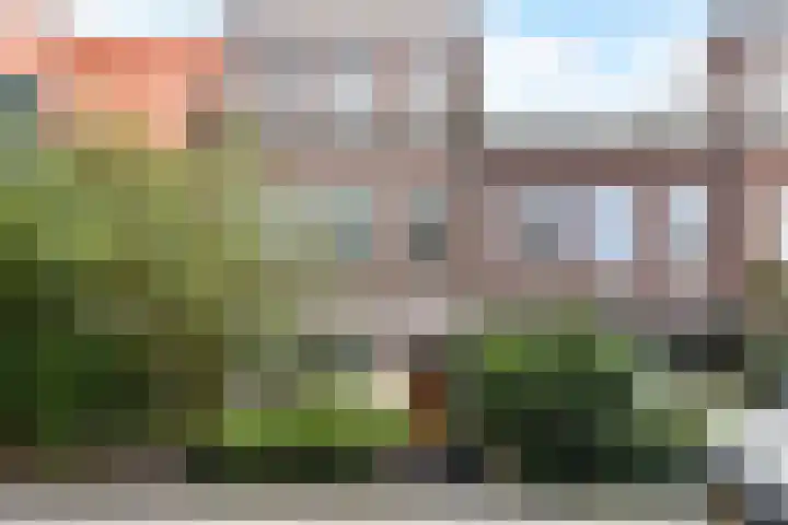 Van Nijenrodestraat 49 Den Haag thumbnail 44