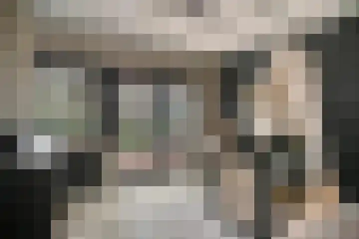 Van Nijenrodestraat 50 Hilversum thumbnail 25