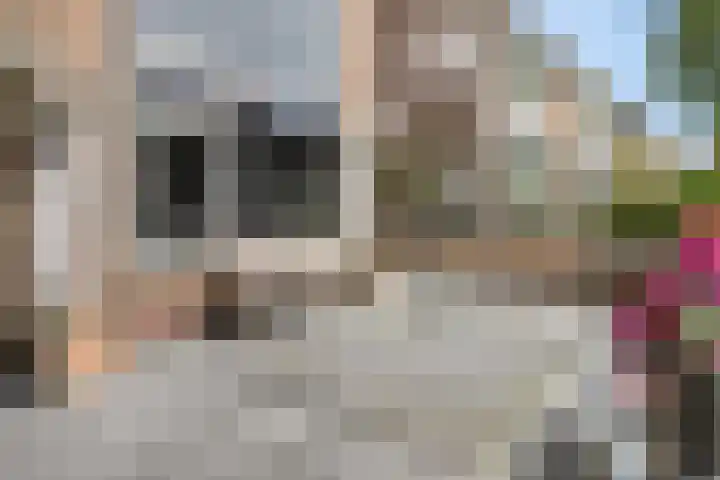 Van Nijenrodestraat 50 Hilversum thumbnail 45