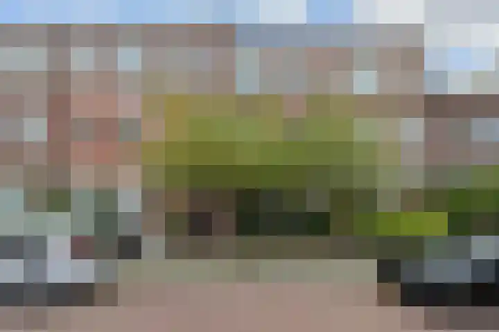 Van Nijenrodestraat 51 in Den Haag