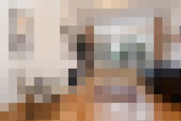 Van Nijenrodestraat 64 Den Haag thumbnail 6